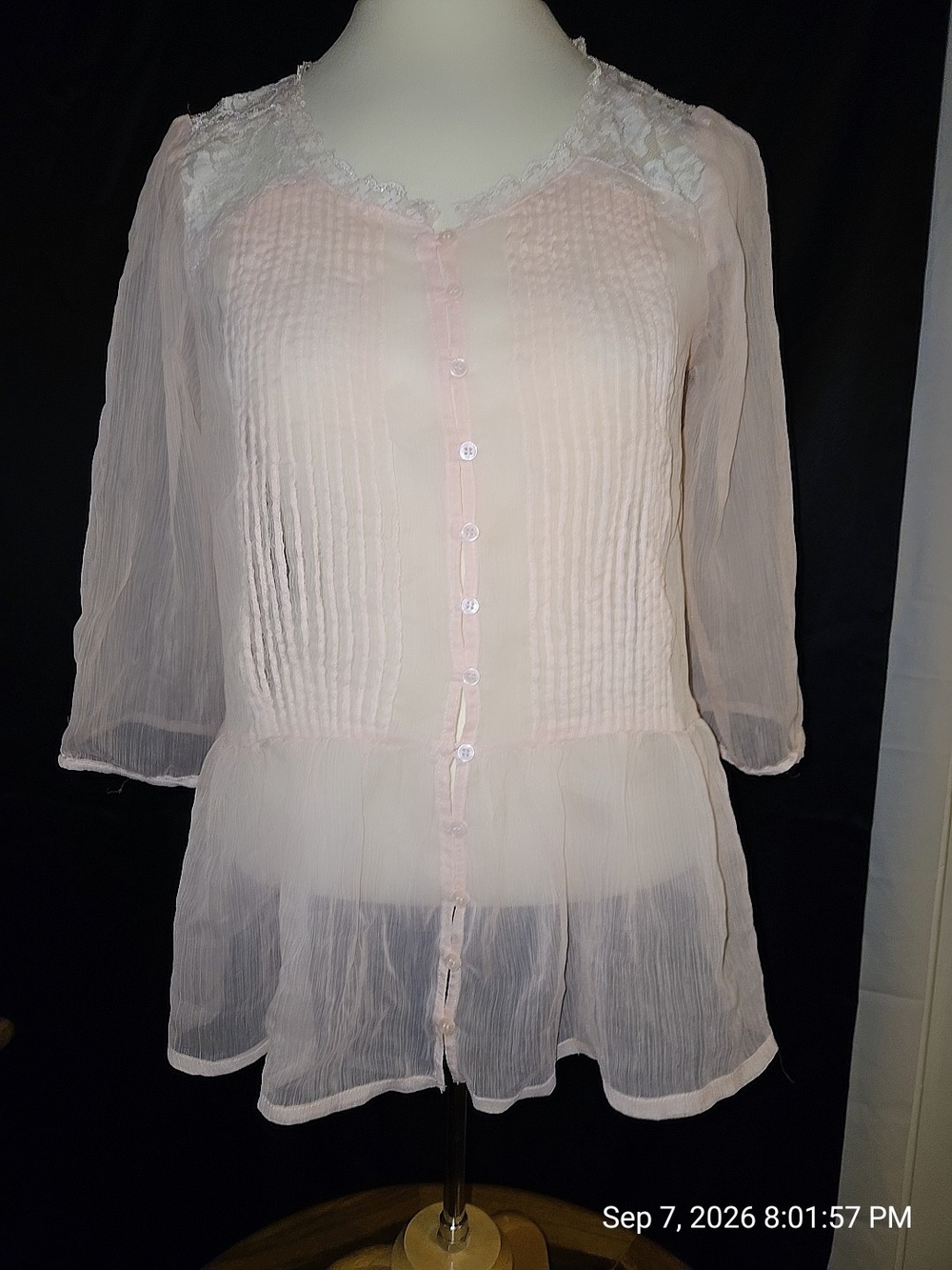 Sheer Pink Lace-Trim Button Front Blouse
